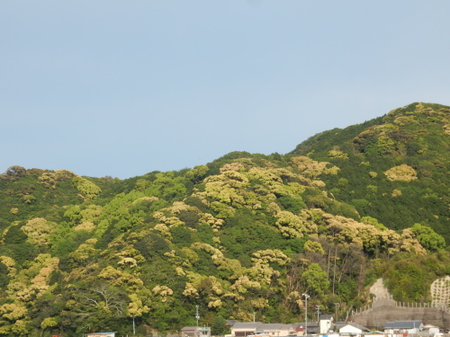 f0054677_07480099.jpg