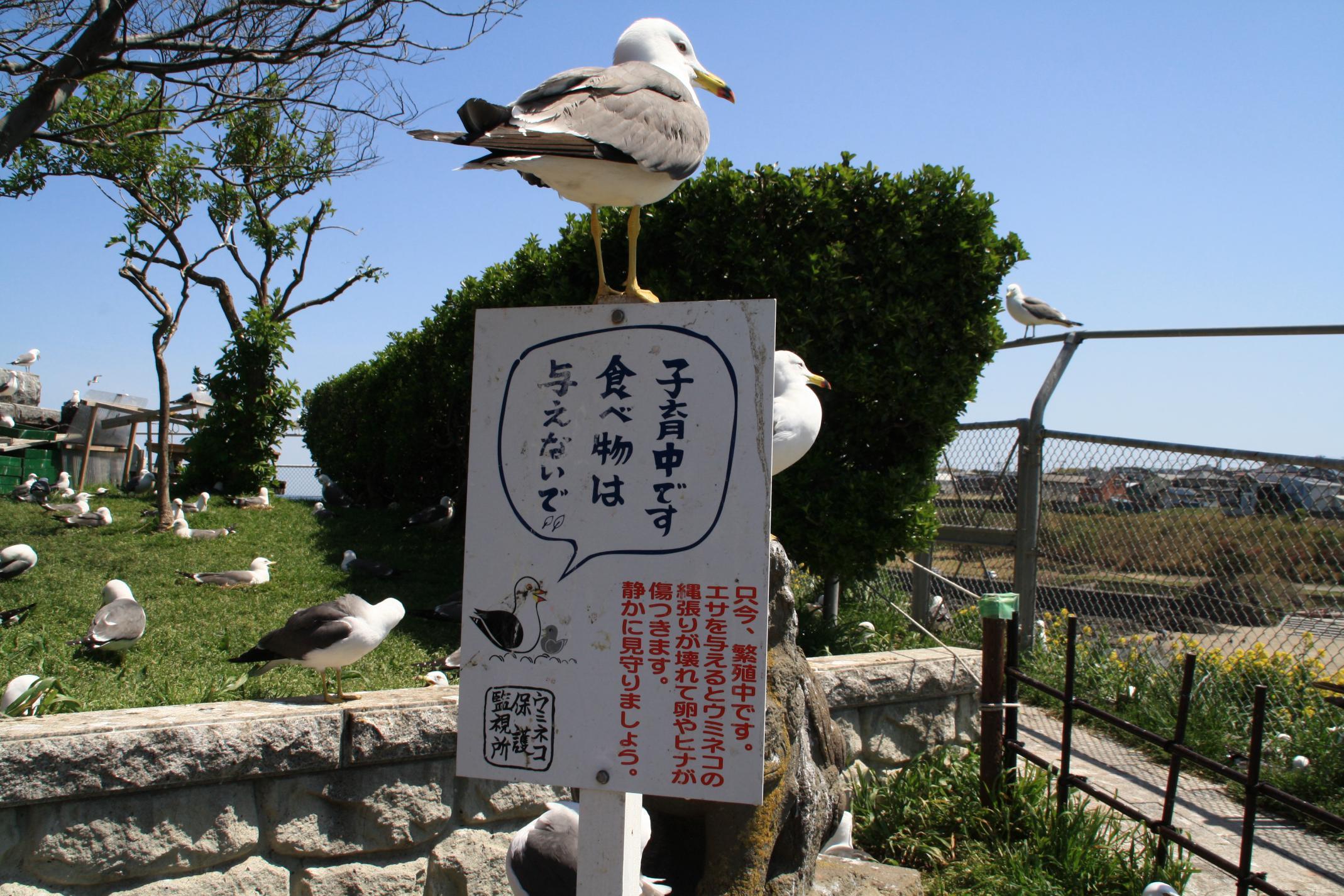 f0377679_10164698.jpg