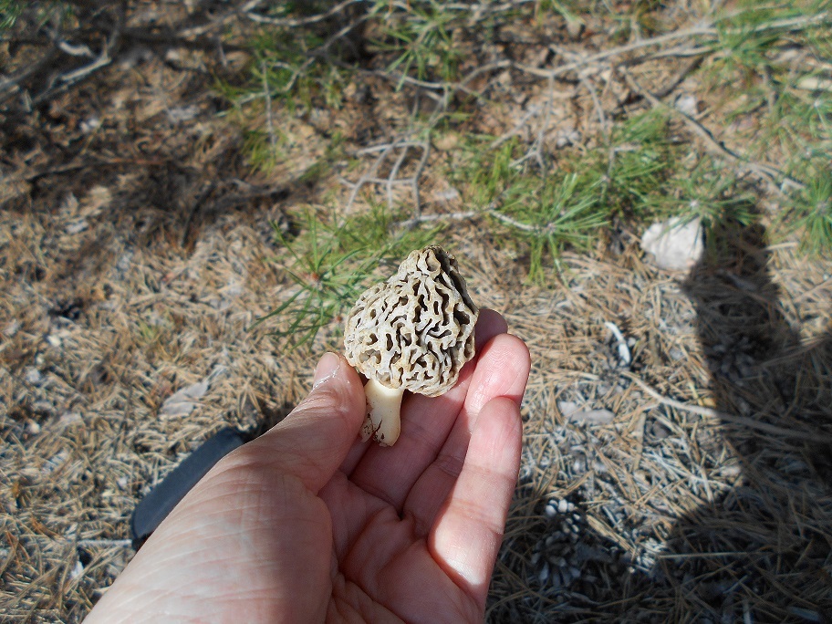 c0305284_10264844.jpg