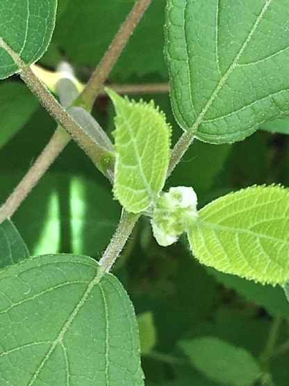b0349795_11245081.jpg