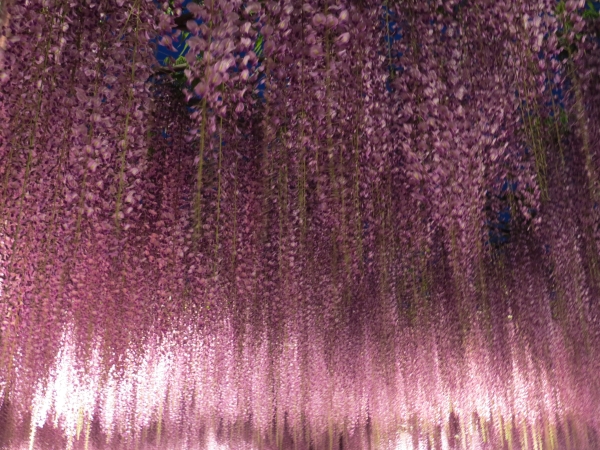 f0033598_17554387.jpg