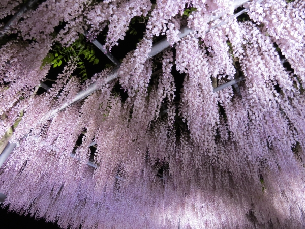 f0033598_1757589.jpg