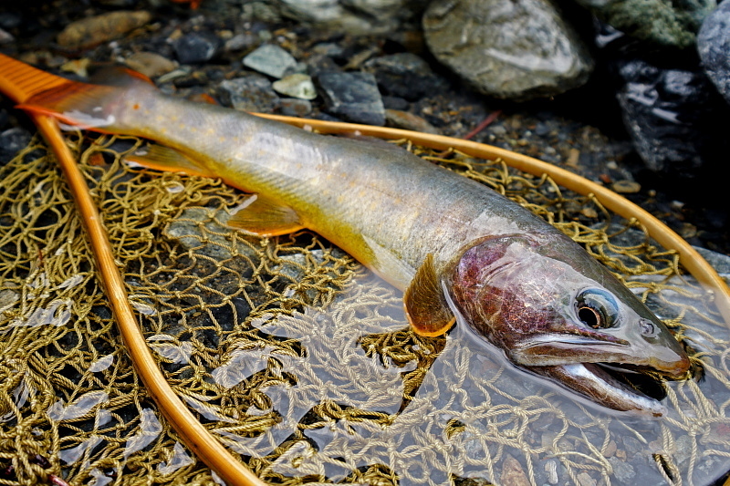 c0339900_10431321.jpg