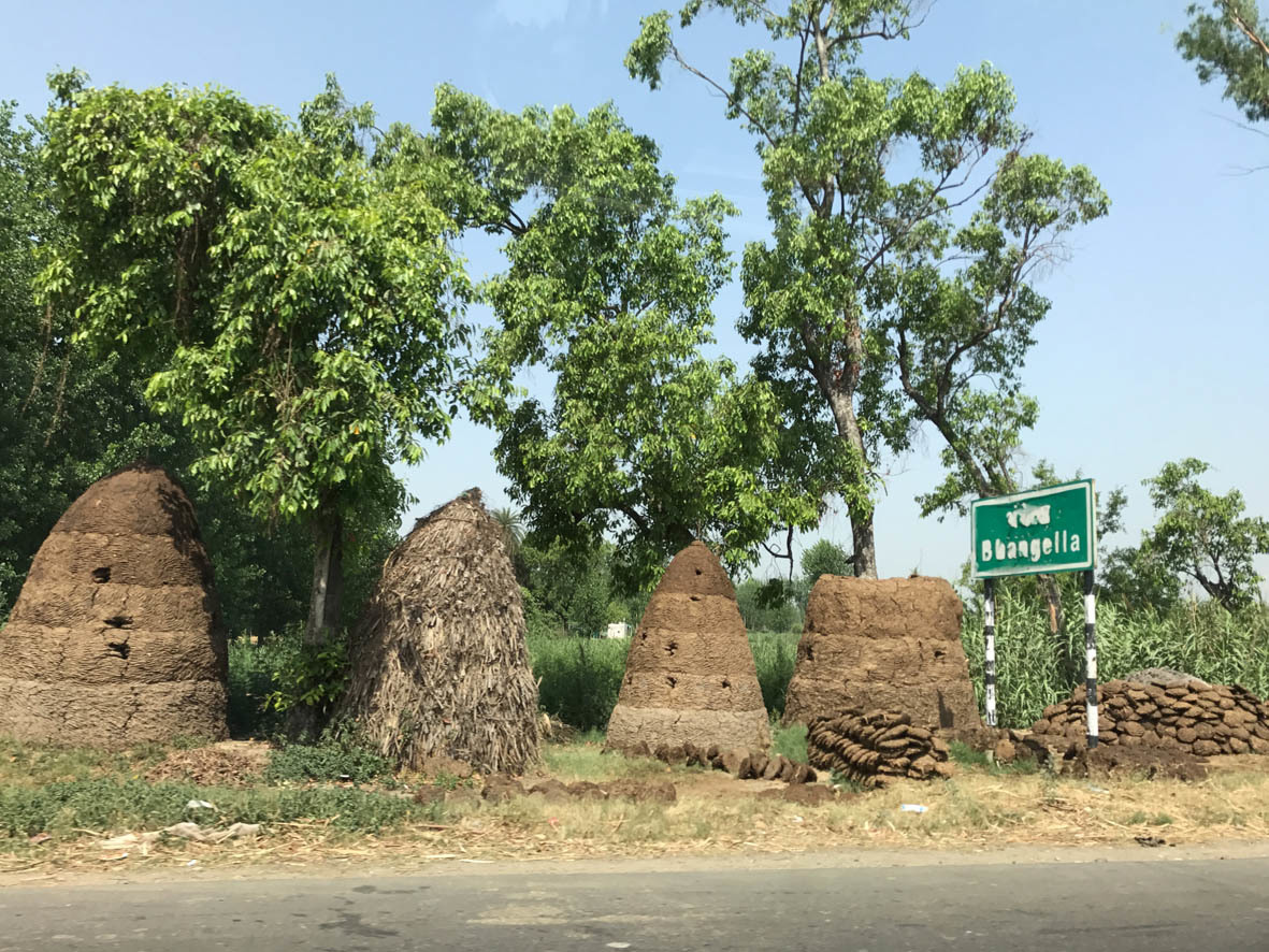 e0064400_22110045.jpg