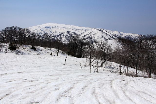 e0137200_18214285.jpg