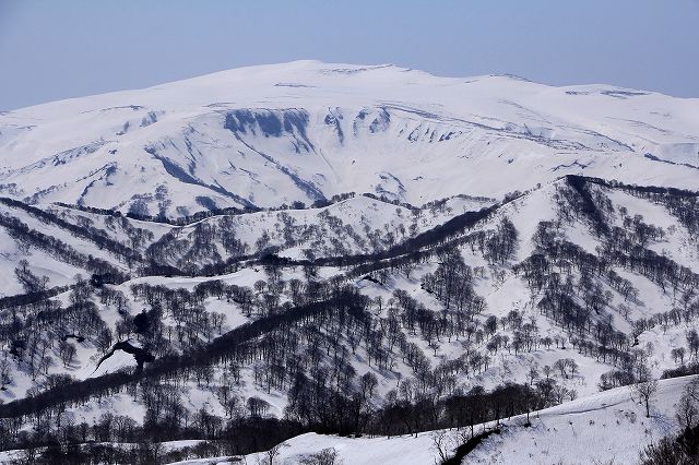 e0137200_1821611.jpg