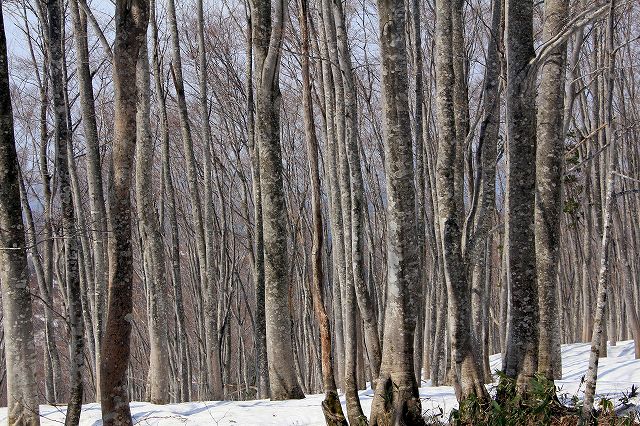 e0137200_18231710.jpg