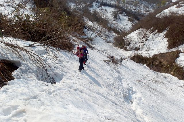 e0137200_182434.jpg