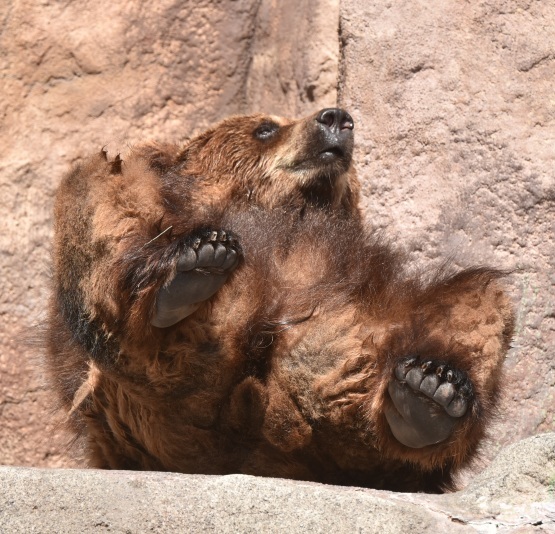 d0090801_17211073.jpg