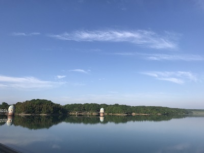 a0134004_20350960.jpg