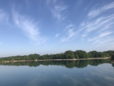 a0134004_20360058.jpg