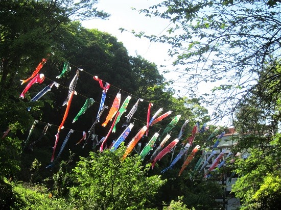 e0245404_202589.jpg