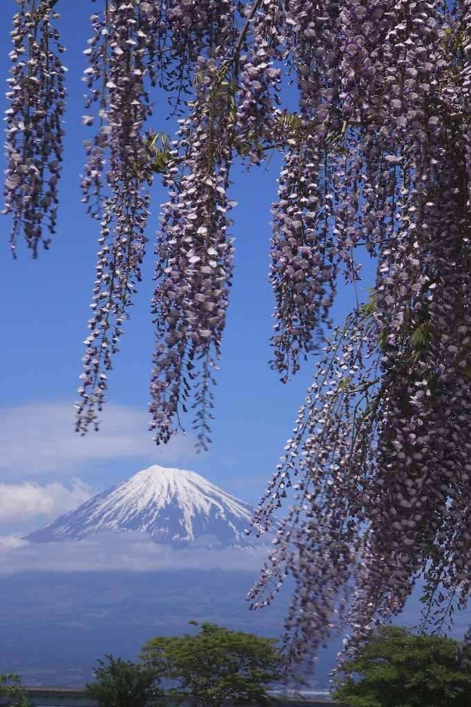a0188405_22394069.jpg