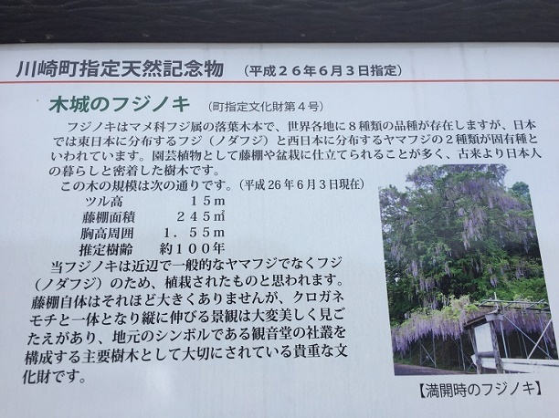 f0364707_21434080.jpg