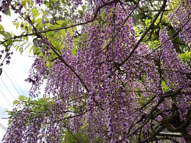f0364707_21473217.jpg
