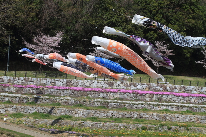 e0174008_18325379.jpg