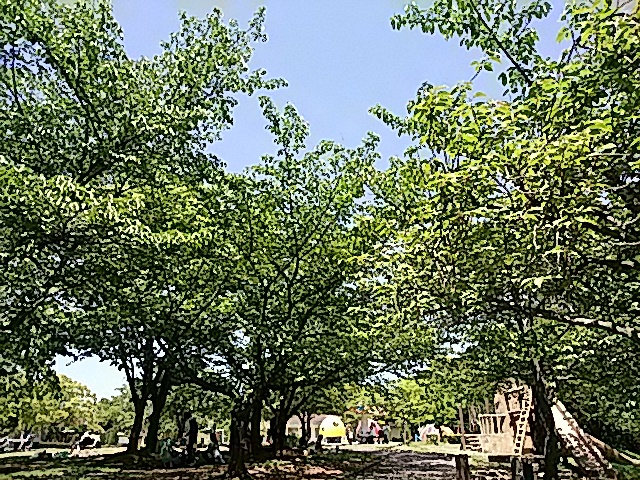 f0231709_23454221.jpg