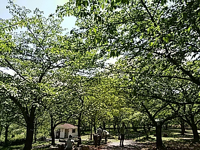 f0231709_23463789.jpg