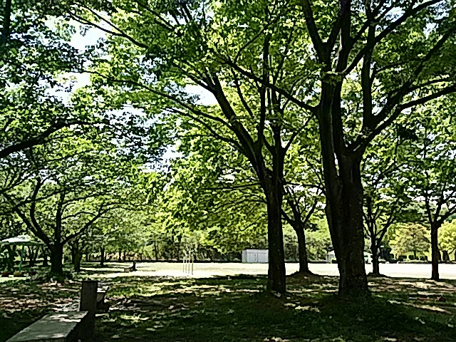 f0231709_23495002.jpg