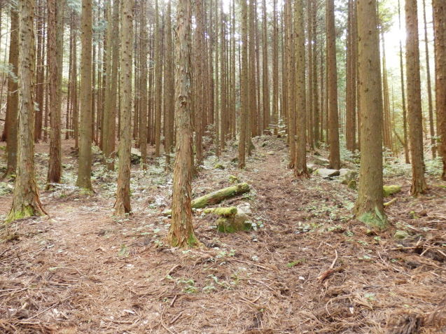 f0219710_13085402.jpg