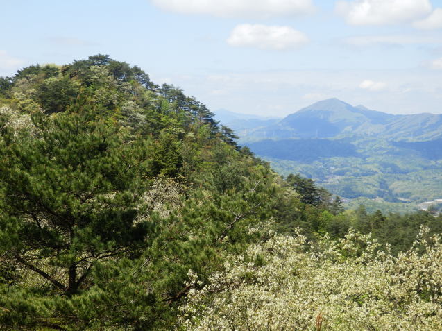 f0219710_13311512.jpg