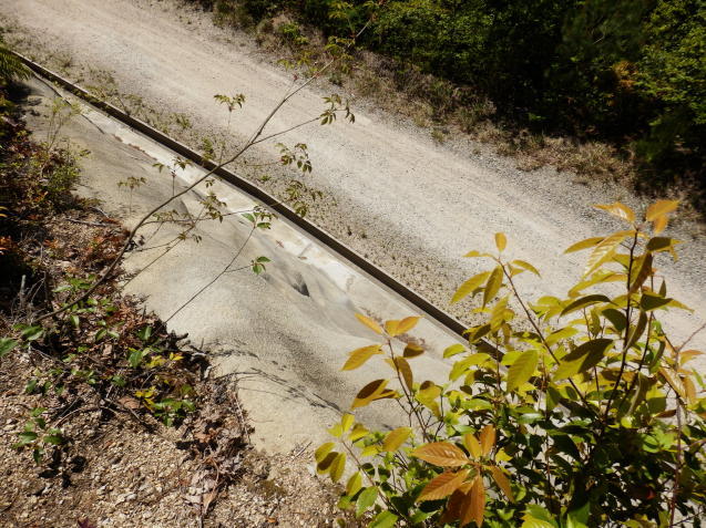 f0219710_13445467.jpg