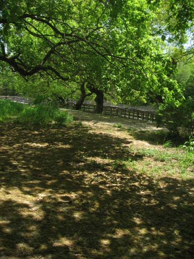 c0062511_19165316.jpg
