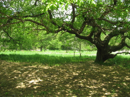 c0062511_19174295.jpg