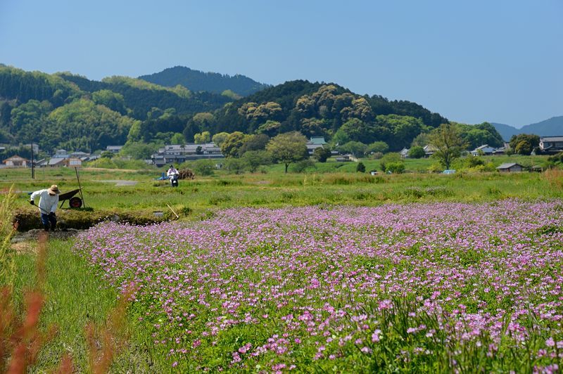 f0032011_20213785.jpg