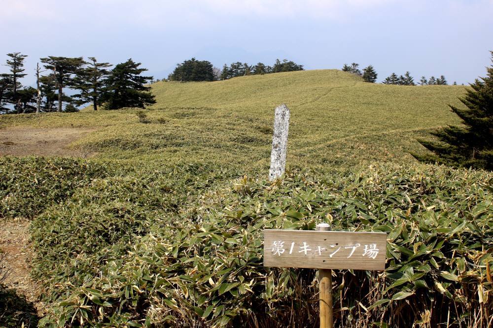 f0212511_07520813.jpg