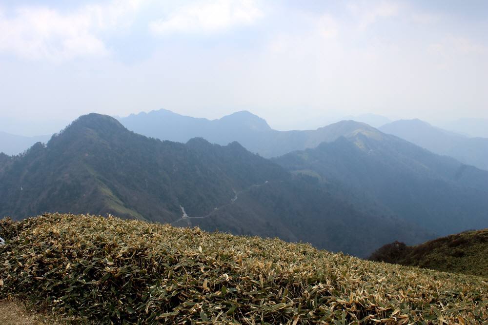 f0212511_07524547.jpg