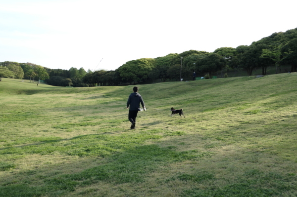 f0369014_20515399.jpg