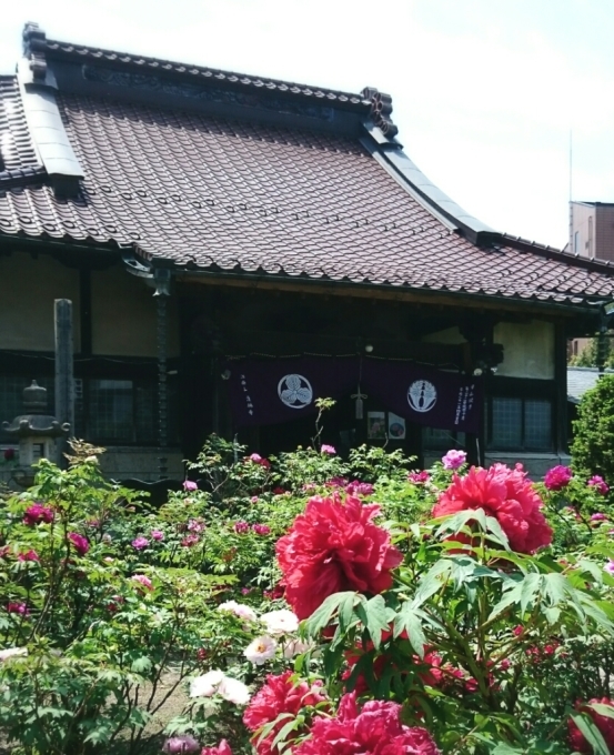 d0262916_23533733.jpg