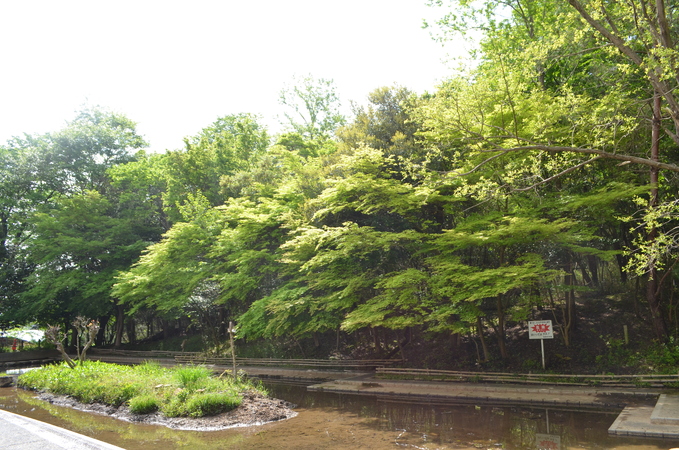 f0191517_9275841.jpg