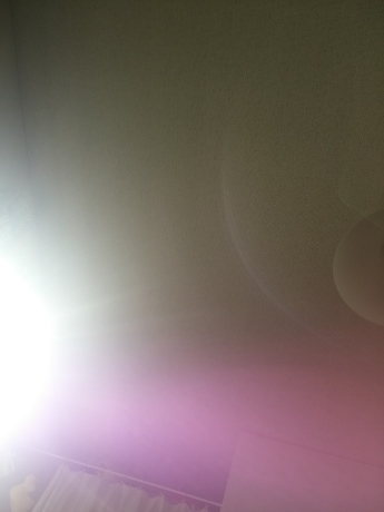 d0190719_15565720.jpg