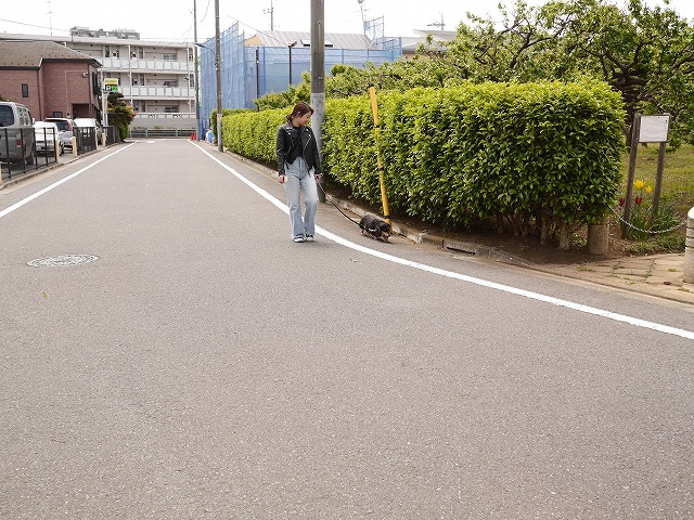 f0282319_4332957.jpg