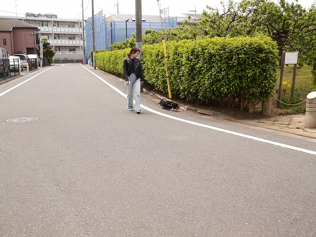 f0282319_4334534.jpg