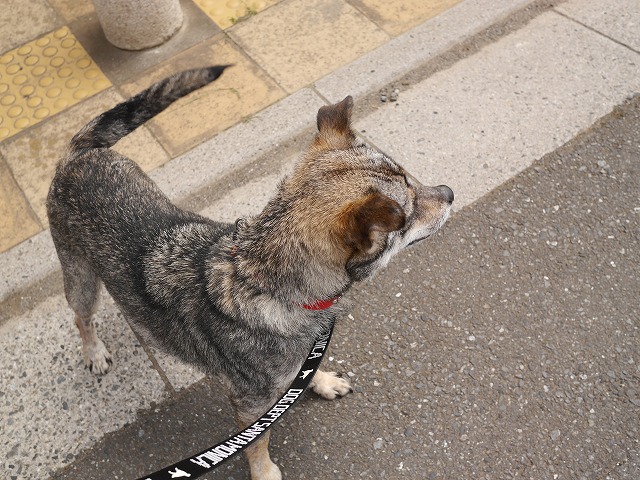 f0282319_4344963.jpg