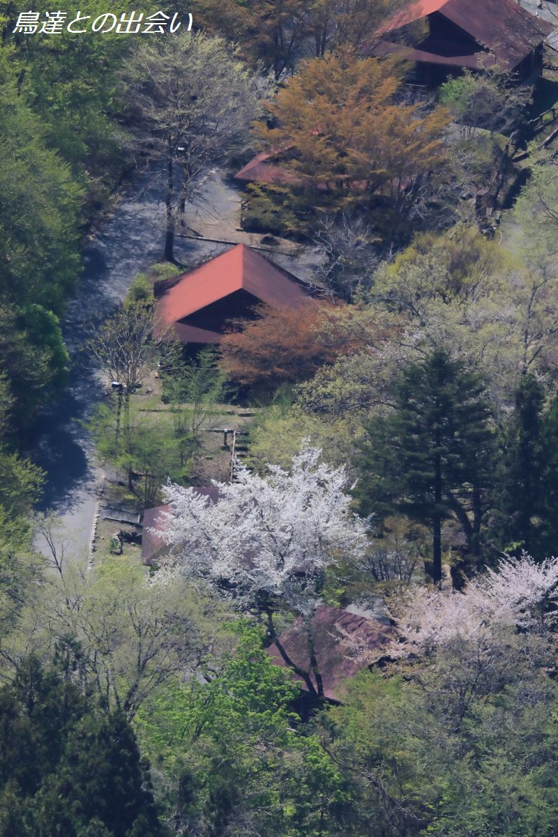 e0139623_17113867.jpg