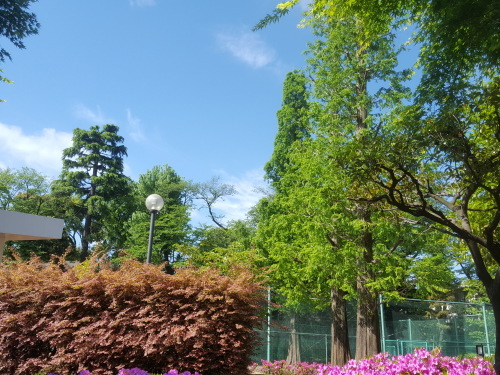 e0016828_10184716.jpg