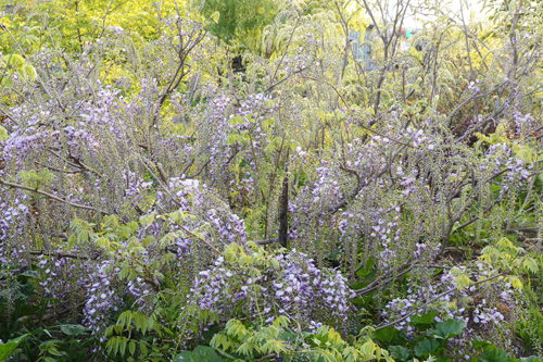c0107129_2048412.jpg