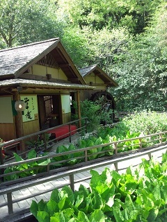 c0311729_08595464.jpg