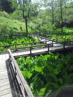 c0311729_09010324.jpg