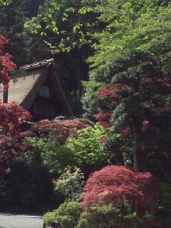 c0311729_09013830.jpg