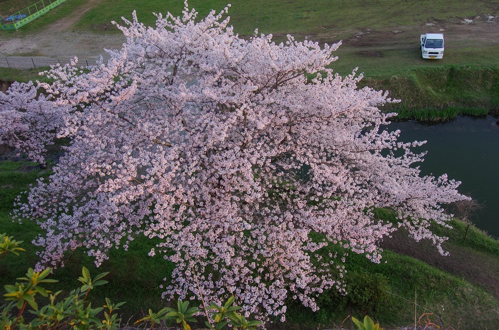 c0106831_04091145.jpg