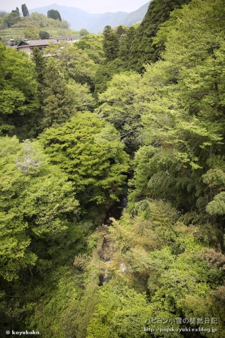 d0140234_19323105.jpg
