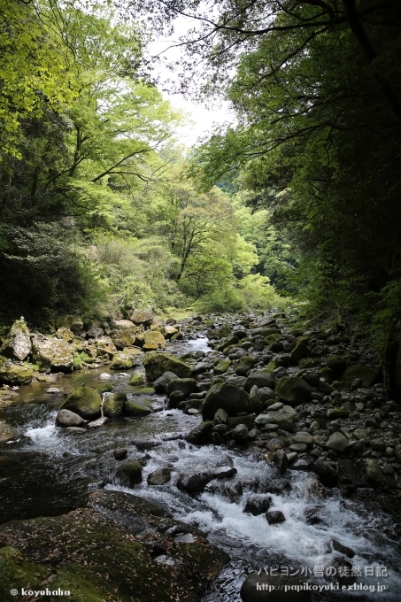 d0140234_20073390.jpg