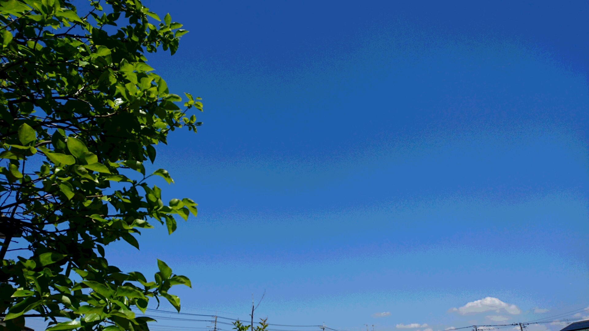 b0131135_13224637.jpg