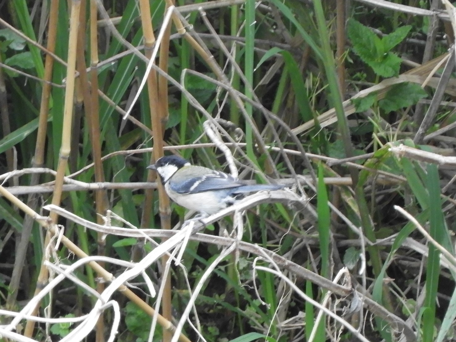 f0113136_15412087.jpg