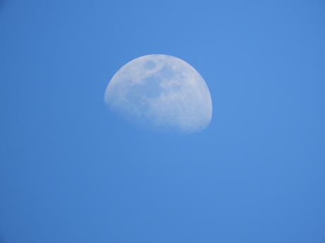 f0113136_17253275.jpg